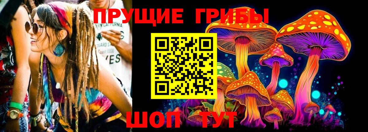 Галлюциногенные грибы Psilocybine cubensis  Вход с VPN  Галлюциногенные грибы Psilocybe  Волоколамск 