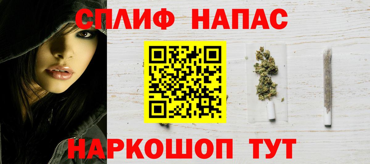 Волоколамск  Каннабис сатива  Марихуана планчик  Вход с VPN  Конопля Bruce Banner 